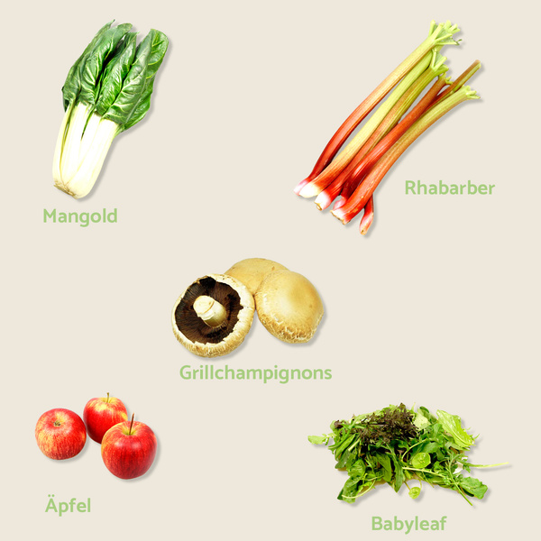 KI generiert: Das Bild zeigt Mangold, Rhabarber, Grillchampignons, Äpfel und Babyleaf. Text: "Mangold, Rhabarber, Grillchampignons, Äpfel, Babyleaf".