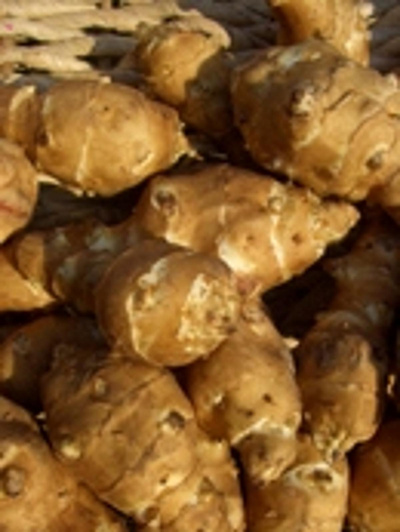 Produktfoto zu Topinambur