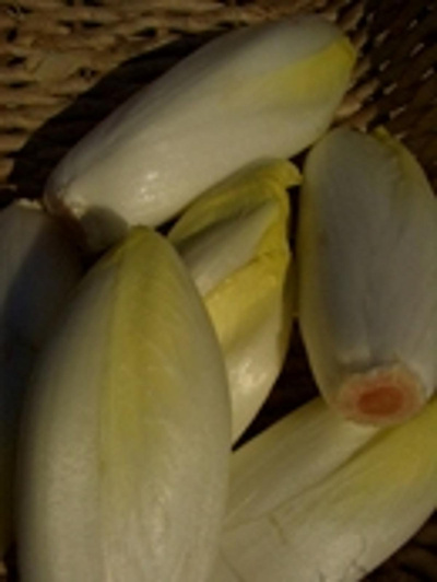 Produktfoto zu Chicorée