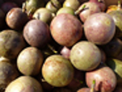 Produktfoto zu Maracuja, rot