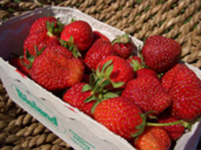 Produktfoto zu Erdbeeren Deutschl. 250g