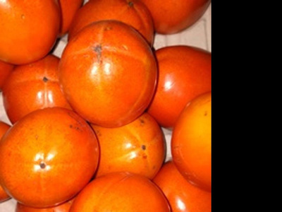 Produktfoto zu Kaki Rojo Brillante