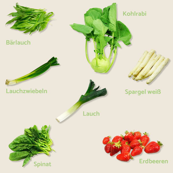 KI generiert: Verschiedene Gemüsesorten und Erdbeeren mit Beschriftungen: Bärlauch, Kohlrabi, Lauchzwiebeln, Spargel weiß, Lauch, Spinat.