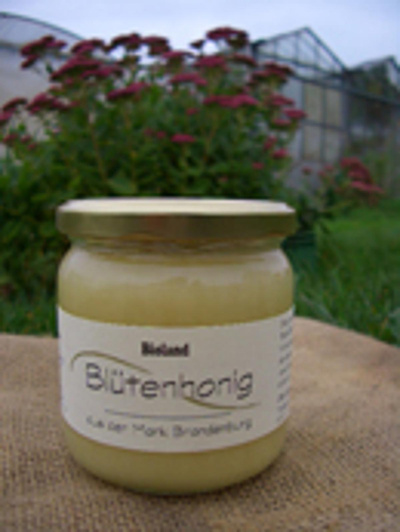 Produktfoto zu Blütenhonig mild, 500g