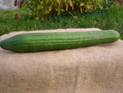 Produktfoto zu Gurken, Deutschland