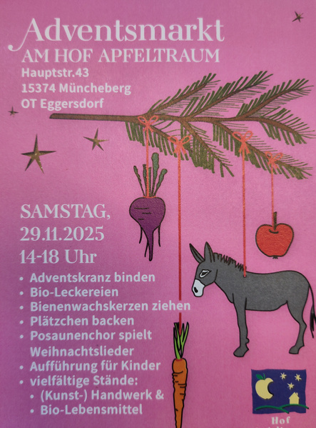 KI generiert: Einladungsplakat für einen Adventsmarkt am Hof Apfeltraum am 29.11.2025, von 14-18 Uhr.