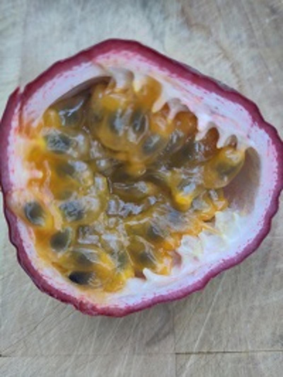 Produktfoto zu Maracuja, rot