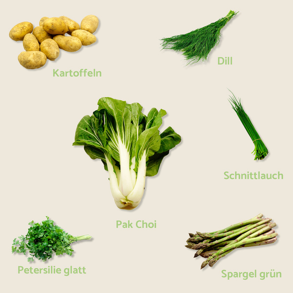 KI generiert: Verschiedene Gemüsesorten auf beigem Hintergrund: Kartoffeln, Dill, Schnittlauch, Pak Choi, Petersilie, Spargel.