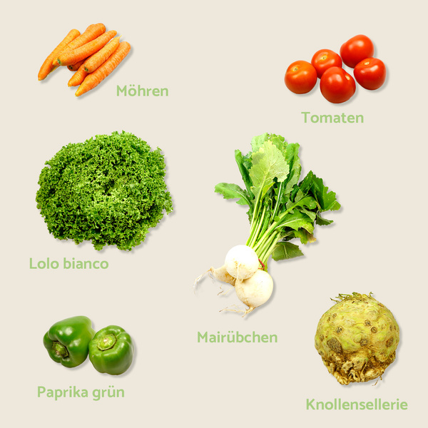 KI generiert: Verschiedene Gemüsesorten mit Beschriftungen: Möhren, Tomaten, Lolo bianco, Mairübchen, Paprika grün, Knollensellerie.