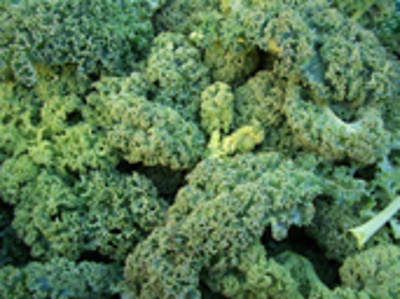 Produktfoto zu Grünkohl