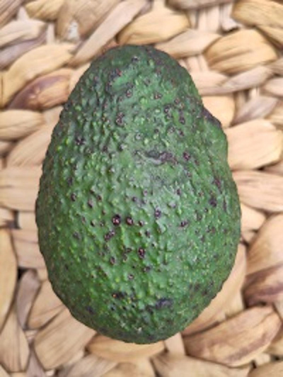 Produktfoto zu Avocado Hass Stück