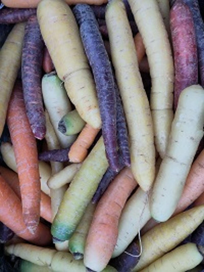 Produktfoto zu Bunter Möhren Mix