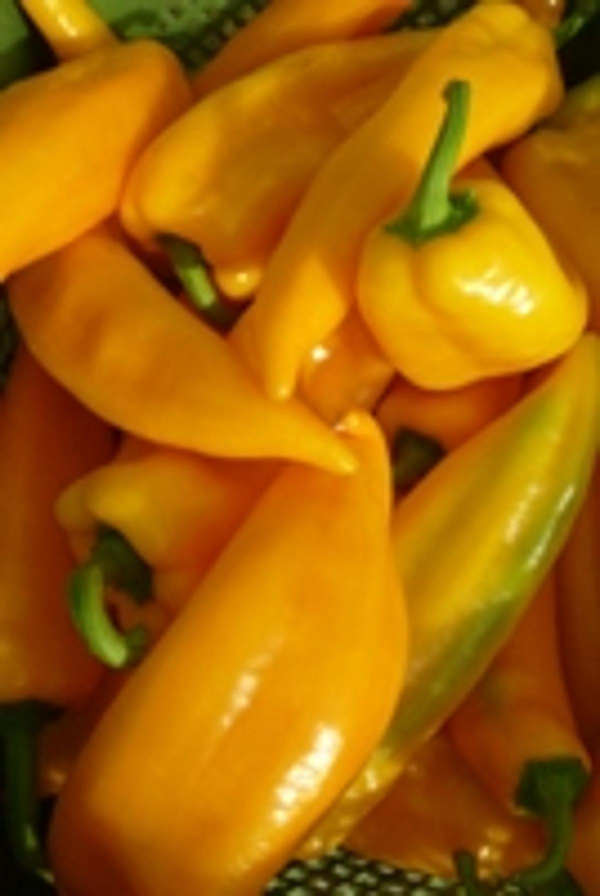 Produktfoto zu Paprika, gelb