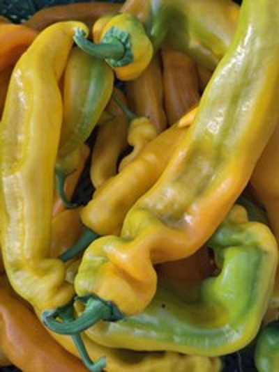 Produktfoto zu Paprika Gelb und Spitz