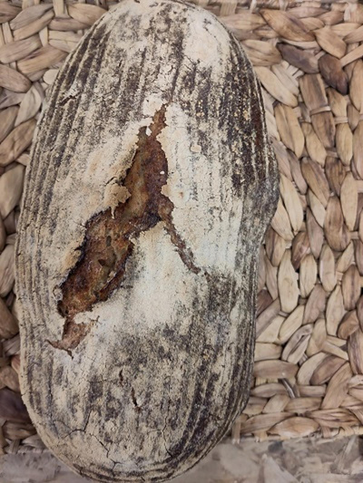 Produktfoto zu NEU !! Das Helle, Laib 1200g