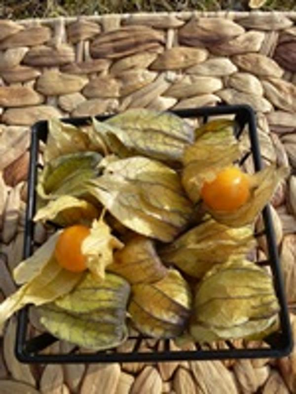 Produktfoto zu Physalis/ Kapstachelbeere, 100g Schälchen
