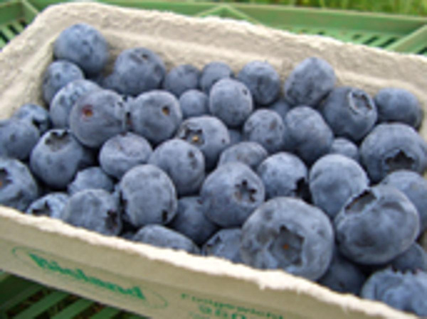 Produktfoto zu Heidelbeeren, 250g