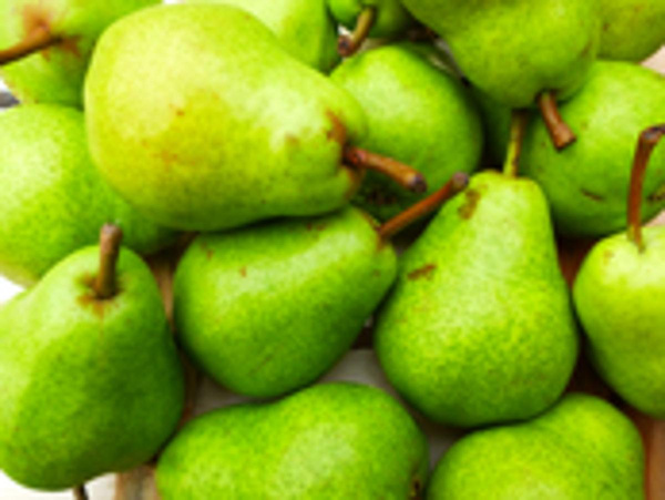 Produktfoto zu Birne Guyot