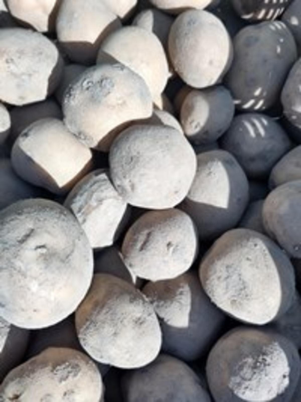 Produktfoto zu Kartoffel Markies mk
