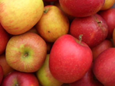 Produktfoto zu Apfel Braeburn