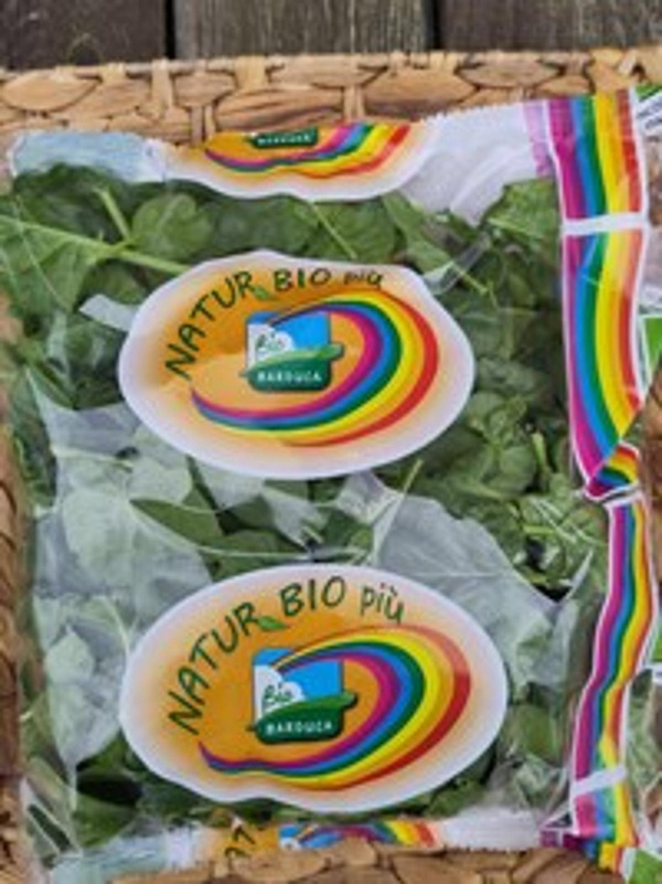 Produktfoto zu Baby-Spinat im 250g Beutel