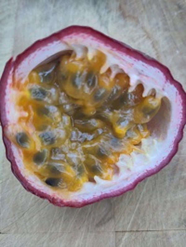 Produktfoto zu Maracuja, rot