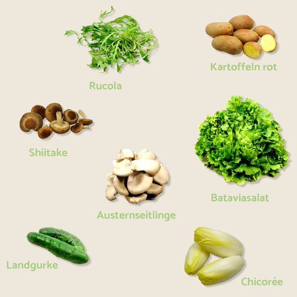 KI generiert: Verschiedene Gemüsesorten: Rucola, Kartoffeln, Shiitake, Austernseitlinge, Bataviasalat, Landgurke, Chicorée.